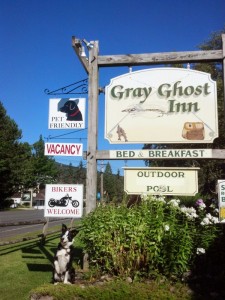 Gray Ghost Inn - Pet Friendly