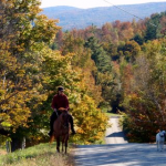 Horseback Riding