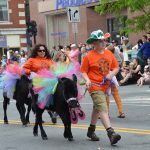 Strolling of the Heifers