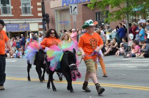 Strolling of the Heifers