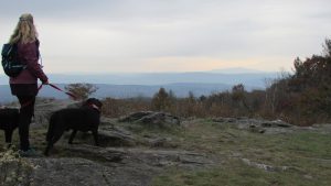 Carina Surveys Mountains