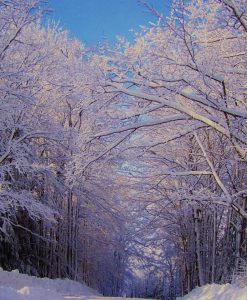 Bed & Breakfast Hotel Lodging In West Dover, VT | Gray Ghost Inn