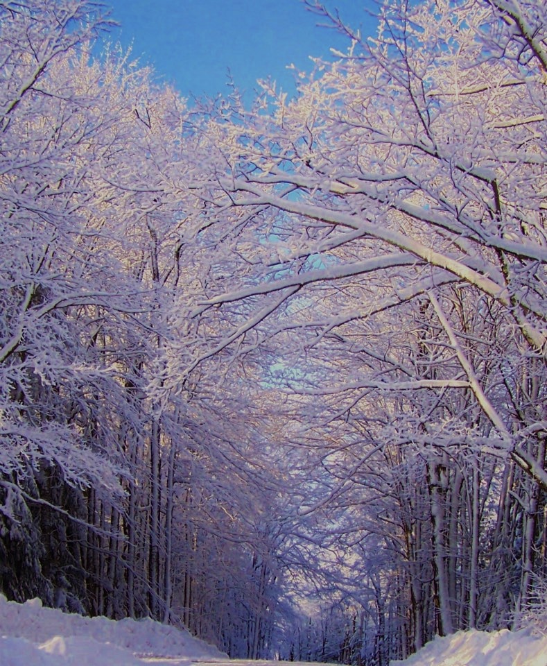 Stay and Play Winter